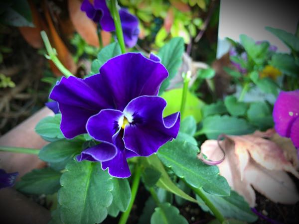 rblog-20161231163703-01.jpg
