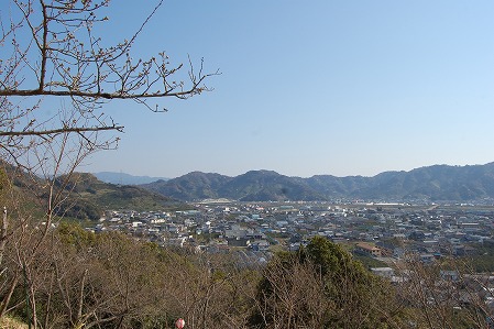 DSC_1191.jpg