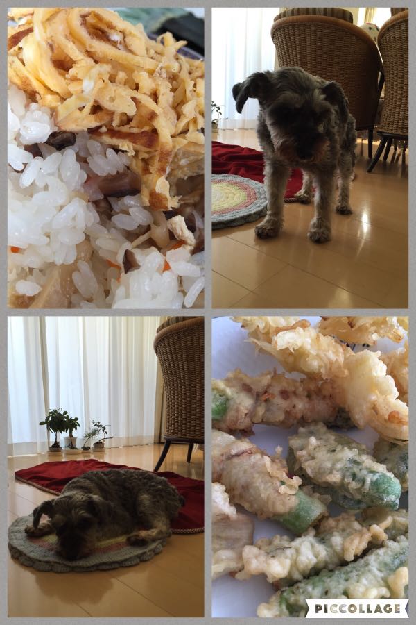rblog-20160304012553-02.jpg