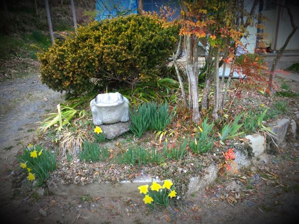 rblog-20160327164422-01.jpg