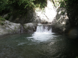 aa