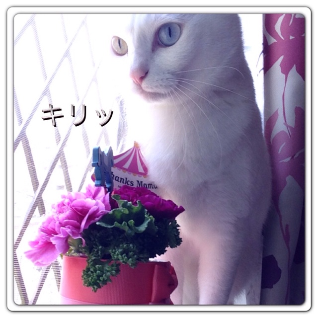 rblog-20130512224448-00.jpg