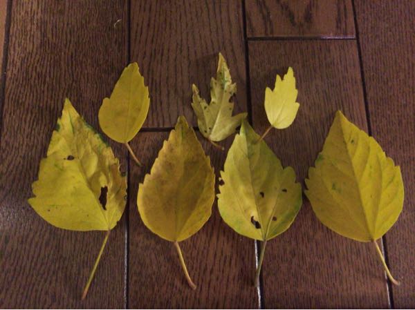 rblog-20170214192940-03.jpg
