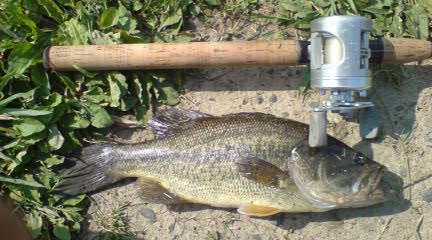 080521_1500~02.JPG