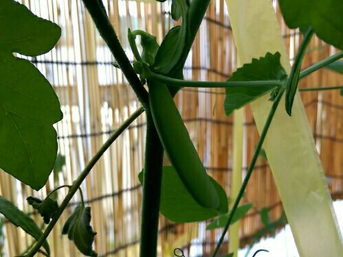 rblog-20170617093421-02.jpg
