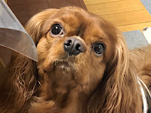 rblog-20180104215222-03.jpg