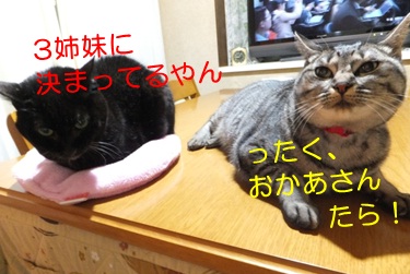 20121205_3.jpg