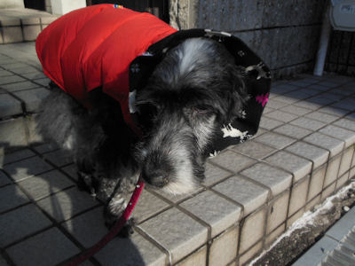 DSCN1444.JPG