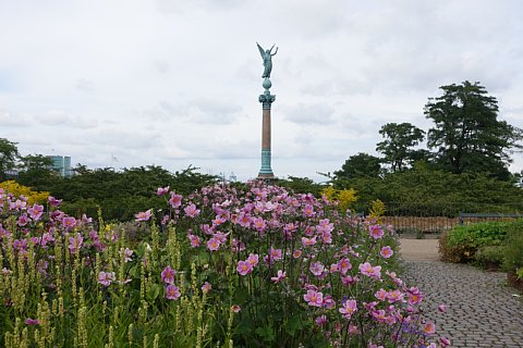DSC01142rtw.jpg