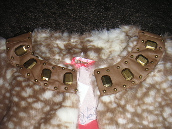 PICT0010.jpg