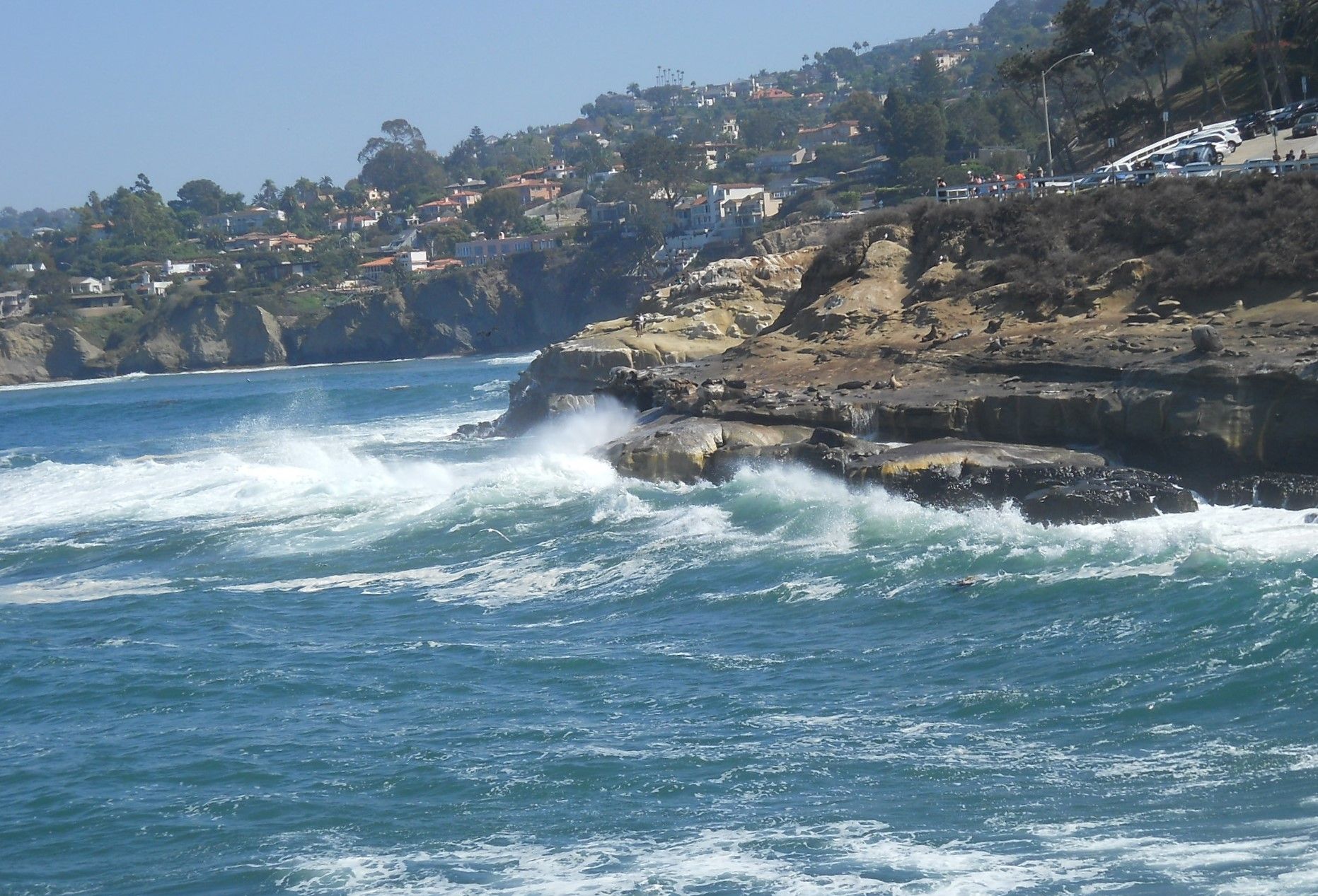 サンディエゴ ラホヤ シュアーズホテル La Jolla Beach 10月14日 ラスベガス ロサンゼルスの旅 楽天ブログ