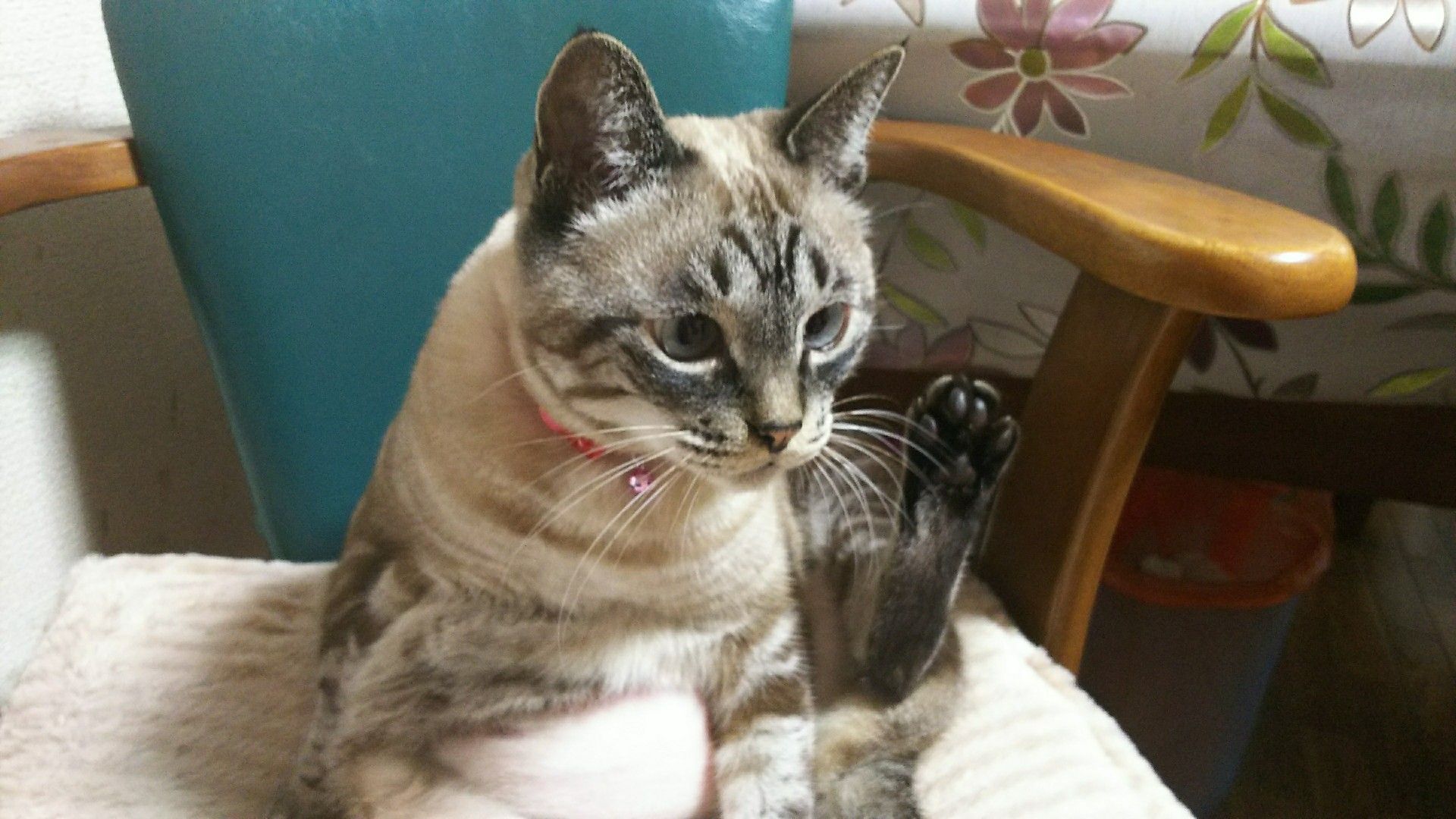 早く良くなってね むくのおかんのブログ 楽天ブログ