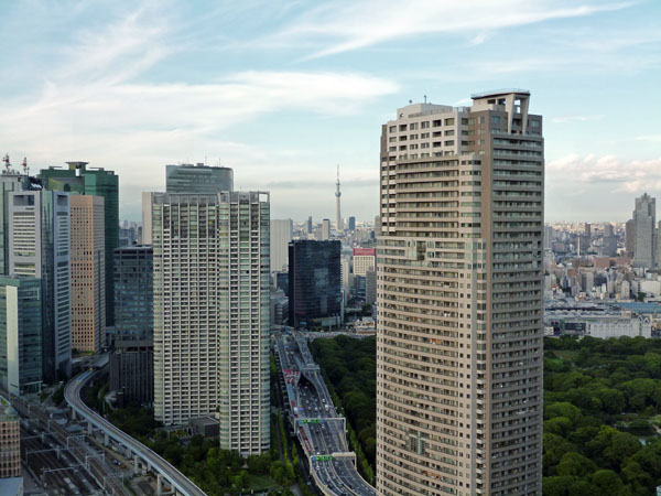 高速道路とスカイツリー