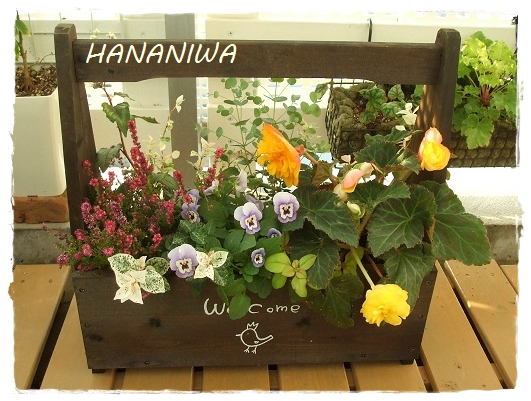 手つき籠の寄せ植え.JPG