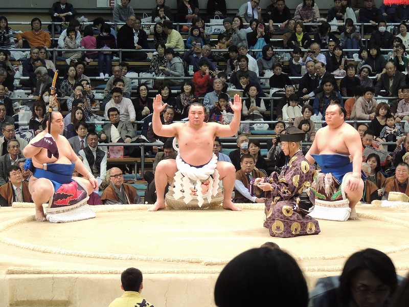 sumo9