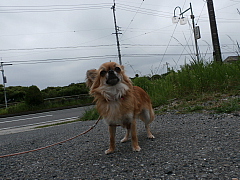 conv0561.JPG