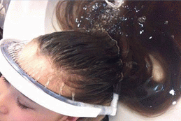 gif.gif