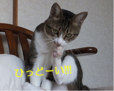 20121122_3.jpg