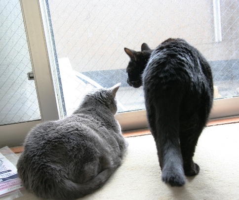 20120428ﾅﾅ_ﾌｰ02.jpg