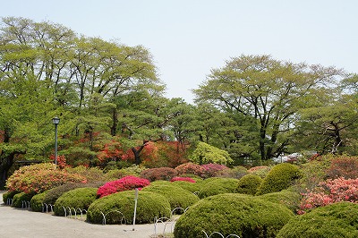 沼田公園1