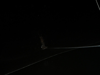 IMGP5063.JPG