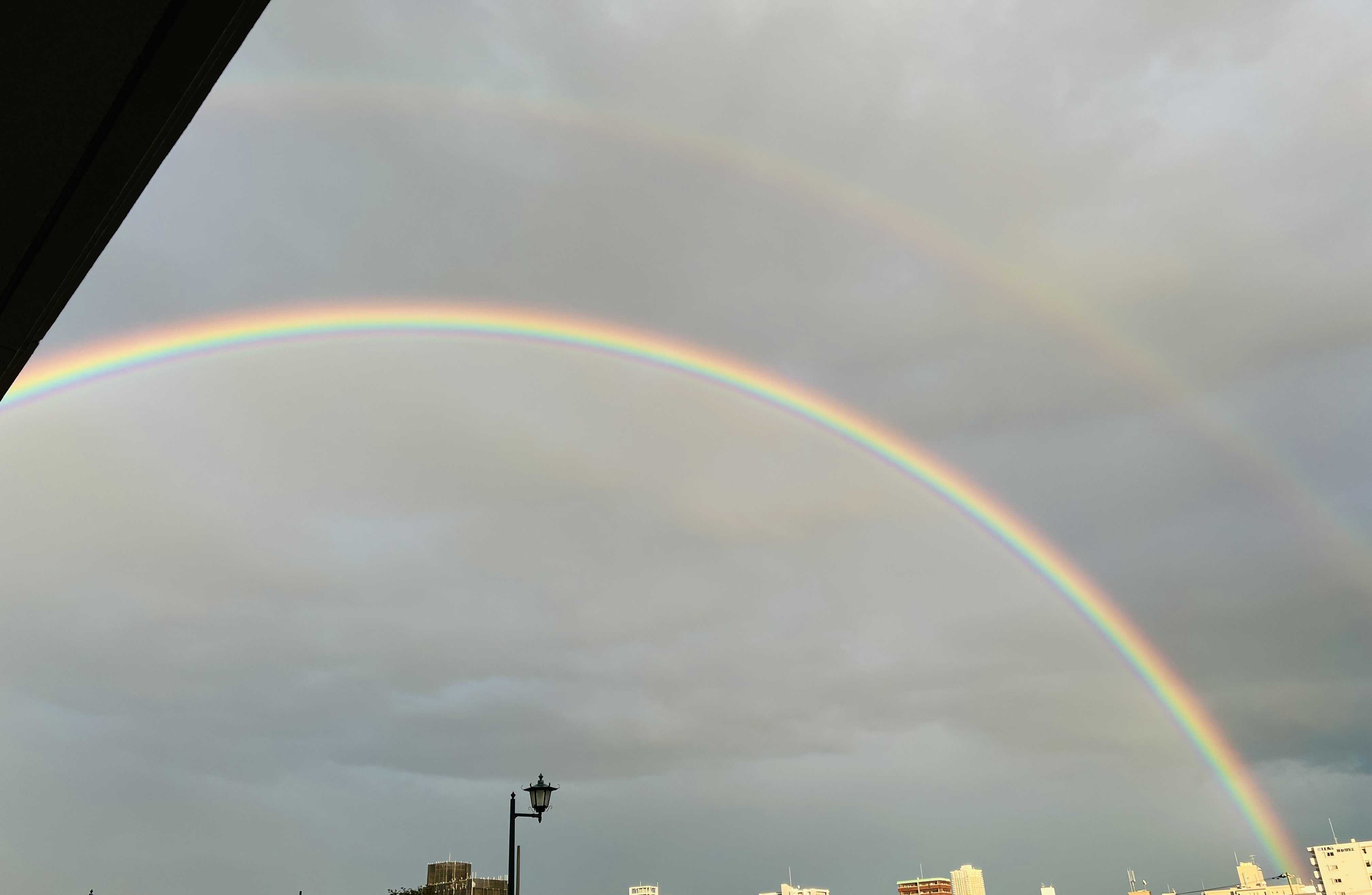 ＼＼\\大学卒業後、ママしかした事がない私//／／