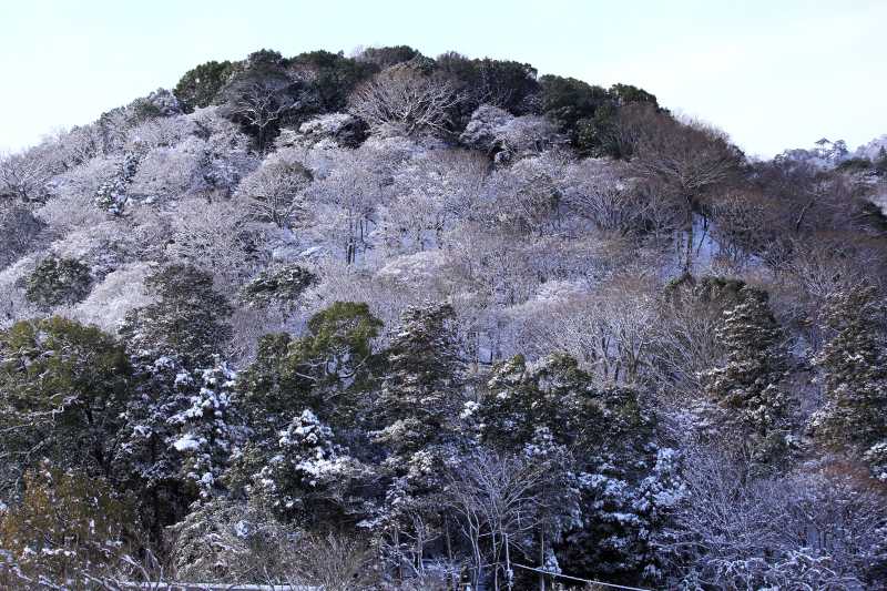雪の嵐山_004.jpg