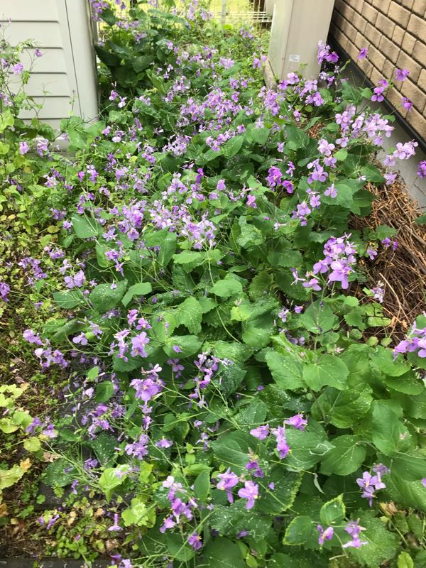 rblog-20190426181355-05.jpg