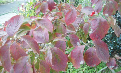 151007_1352~01.jpg