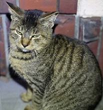 5DA_9389-20.jpg