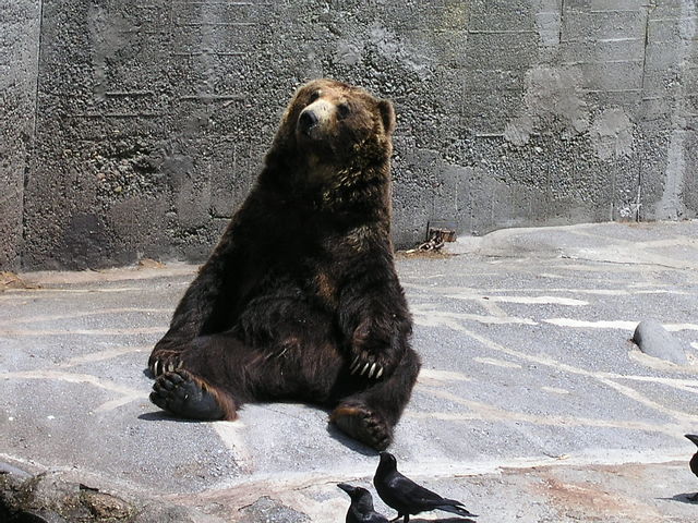 2680590_1699440991_65large.jpg