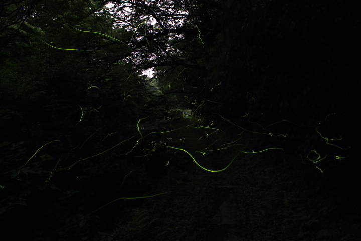 2014_0602_195513-IMG_5049.JPG