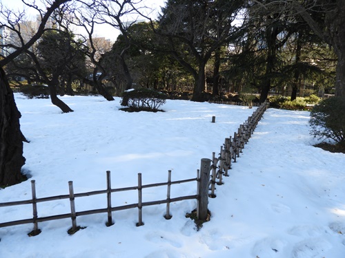 日比谷公園にて