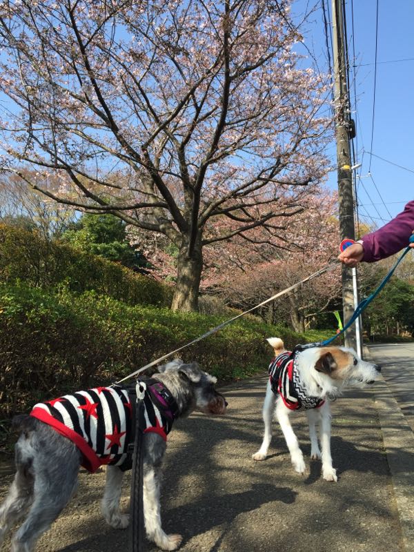 rblog-20160401013242-02.jpg