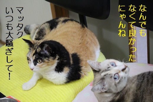 大騒ぎ