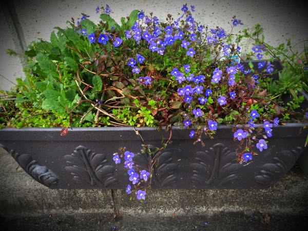 rblog-20160330184054-00.jpg