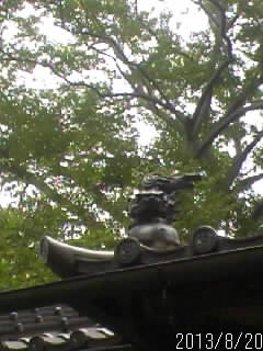 屋根の上２