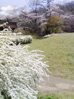 雪１