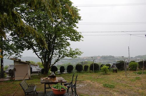 DSC_0346.JPG