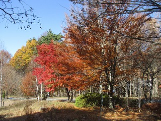 IMG_3006ss.jpg