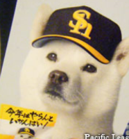 rblog-20140225115755-01.png