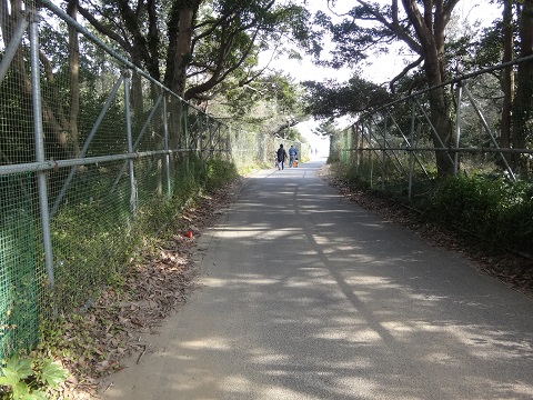 DSC07954.JPG