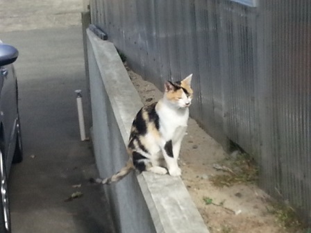 20131023_115827.jpg