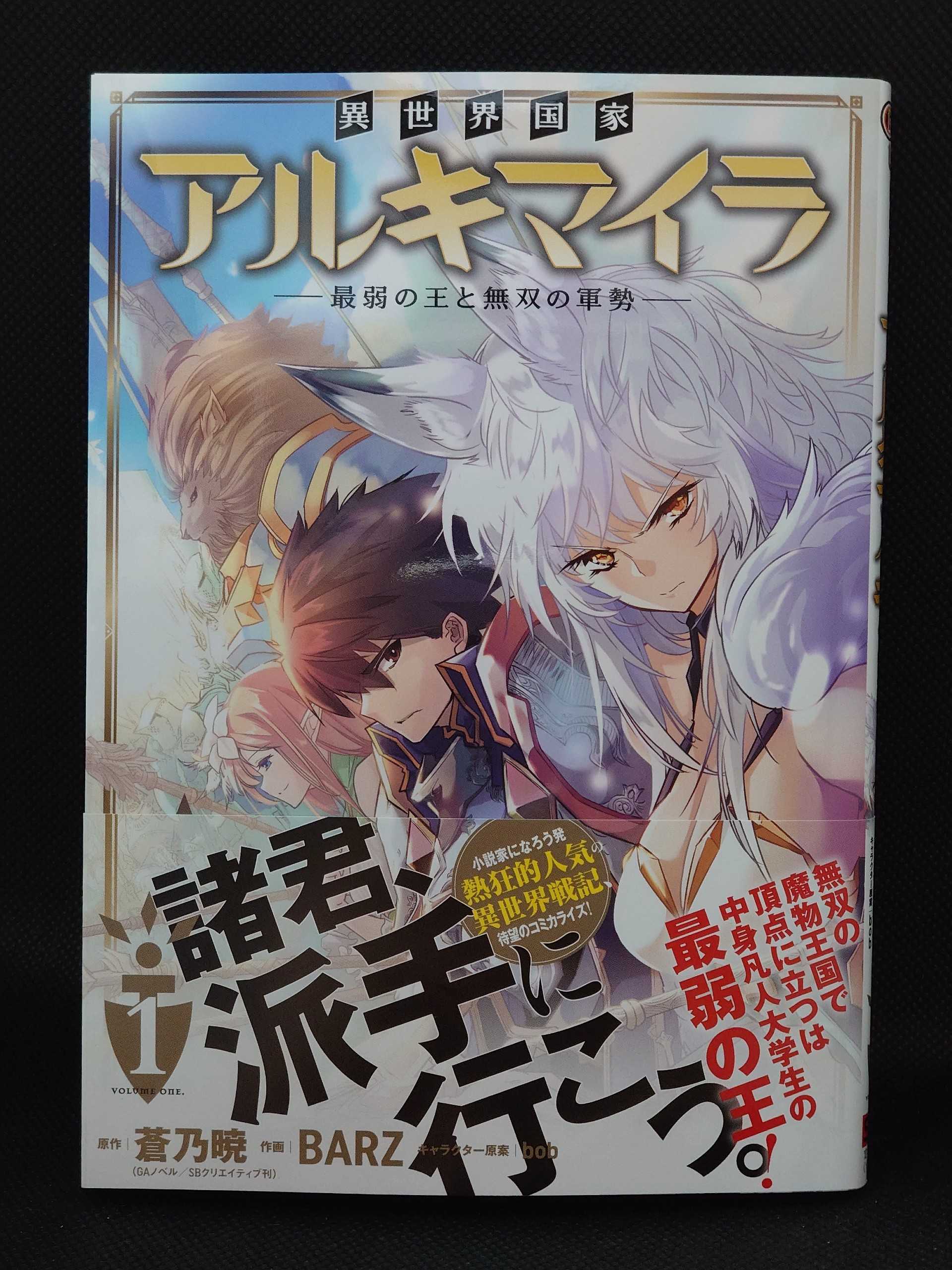 今日の１冊 ５０９日目 その３ 異世界国家アルキマイラ ~最弱の王と