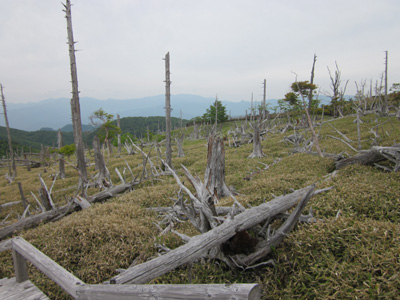 0609-2.jpg