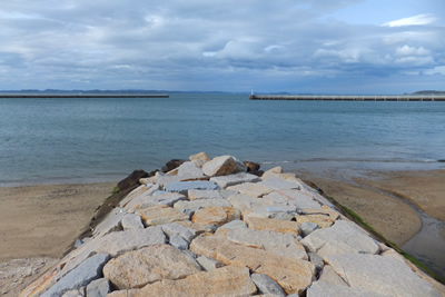 DSCF8346.jpg