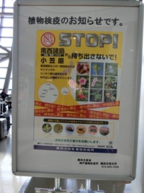 持って帰れない