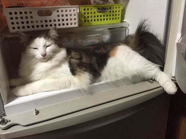 rblog-20150729092149-00.jpg