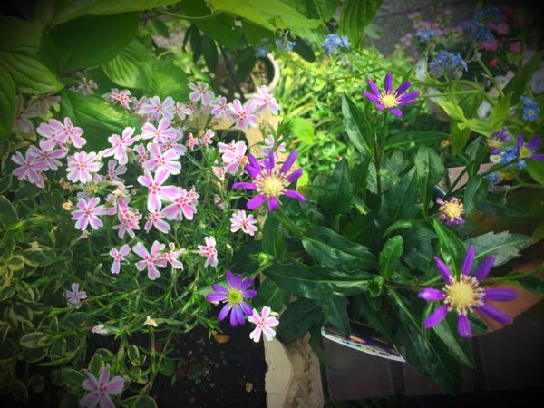rblog-20160426175049-08.jpg