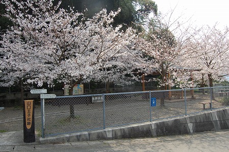 s-DSC_0303.jpg